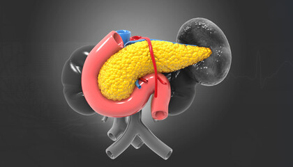 Human pancreas on dark background. 3d illustration. - obrazy, fototapety, plakaty
