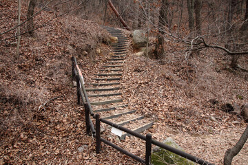 Scenery of a trail near Jingwansa Temple in Eunpyeong-gu. in Seoul, South Korea. Feb. 9, 2021