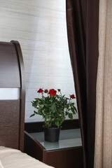 the rose is in a pot on the bedside table in the bedroom
