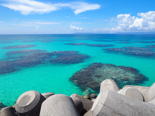 Coral leaf in the sea