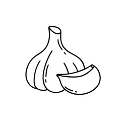 Head of garlic with clove. Black doodle icon of spicy vegetable. Hand drawn simple illustration for food packaging design. Contour isolated vector pictogram on white background