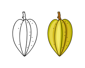 Carambola doodle icon. Linear and color version. Black simple illustration of star fruit. Contour isolated vector pictogram on white background