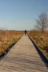 Young woman standing on a path in the middle of nature. High quality photo