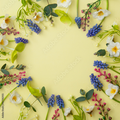 Spring flowers circle composition. Square frame made of muscari and wild flowers on pastel yellow background. Happy mother's day.