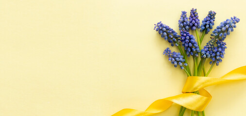 Spring muscari banner, flower bouquet, yellow ribbon over pastel yellow background. Easter holiday background. Creative abstract spring copy space