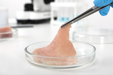 Scientist taking raw cultured meat out of Petri dish with tweezers at white table in laboratory, closeup