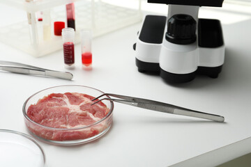 Sample of cultured meat on white lab table