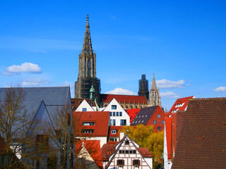 Obraz premium Ulm, Deutschland: Das Münster ragt hinter dem Fischerviertel auf