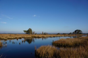 Obraz na płótnie Canvas Reflecting pond in Dwingelderveld National Park in the Netherlands