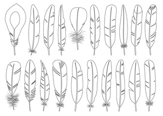 Feather of bird outline vector set illustration of icon.Feather pattern vector set of icon.Set illustration pen of bird on white background.