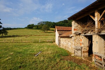 Fototapeta na wymiar Countryside in the department of Saône-et-Loire in Bourgogne-Franche-Comté in France