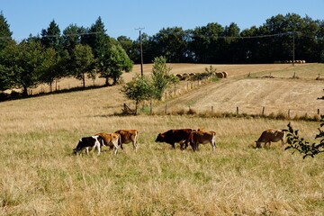 Countryside near Bannes in the Lot department in southwestern France