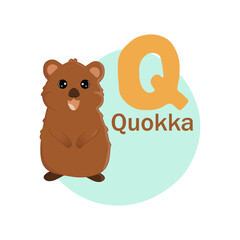 Animals alphabet. Cute quokka isolated on white background. Vector illustration for teaching children learning a foreign language. English alphabet. Letter q