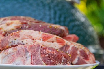 Raw meat in a plate, cut into pieces, seasoned and ready to grill, outdoors, against the backdrop of a ceramic barbecue grill called kamado or musikamado, a Japanese stove. Close-up