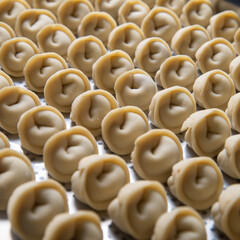 dumplings, dough with meat hand-made 