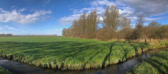 Havelte. Leemgravenweg. Meadow. Drenthe Netherlands. Shadows. Netherlands.