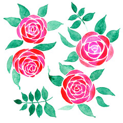 painted in watercolor stylized flowers of red roses with leaves