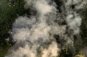 Fototapeta na wymiar White smoke from a fire in the countryside in the summer close-up