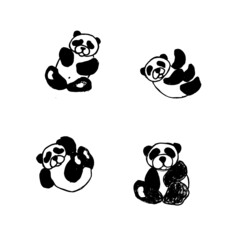 black and white panda