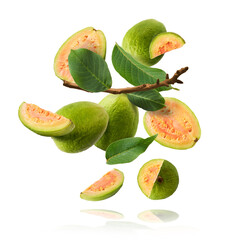 Fresh ripe guava falling in the air. Zero gravity concept