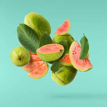 Fresh ripe guava falling in the air. Zero gravity concept