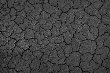 Dry land, nature and environment.