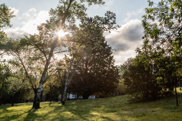 Gilbert Vilers park, in Aix en Provence