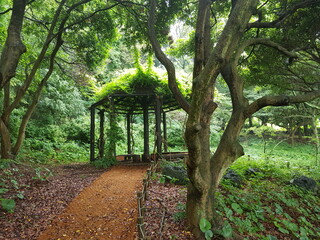 A hut without a master