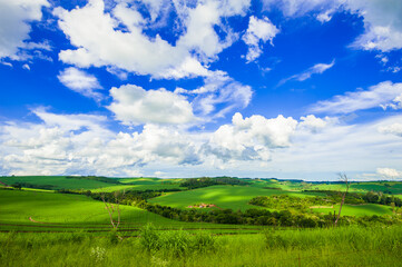 Obraz premium Rural landscape, nature and environment.