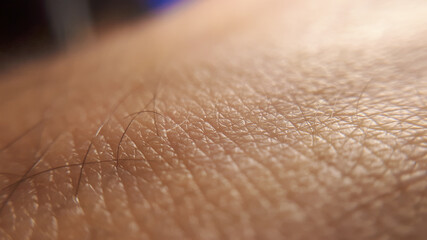 Macro of human skin texture. Woman or girl skin. Dermatology pattern of healthy brown caucasian skin. Close up detail skin