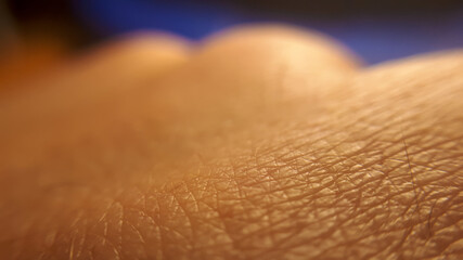 Macro of human skin texture. Woman or girl skin. Dermatology pattern of healthy brown caucasian skin. Close up detail skin