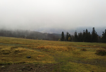 South Poland landscape of trees, green grass and foggy mist against mountains located in bielsko biala, South Poland.