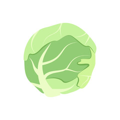 Cabbage icon. Food for a healthy diet. Natural product made from green vegetables, suitable for vegetarians. A source of vitamins