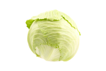 Fototapeta premium White cabbage head isolated on white background