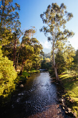 Yarra River View in Warburton Australia