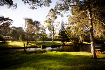Fototapeta na wymiar Yarra River View in Warburton Australia