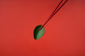 Derazht green lime leaf with red Chinese chopsticks. Red on red. Cooking ingredients for Asian food. Spicy food. Red background. Asian products. Soup ingredient tom yang. Macro photography of food.