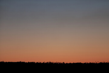 Clear sunrise or sunset sky with a smooth gradient of colors. Dark silhouettes of the forest.