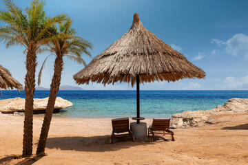 Palm trees and parasol in Sunny beach in tropical resort with in Red Sea coast in Egypt, Africa.