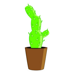 Green cactus plant isolated on a white background