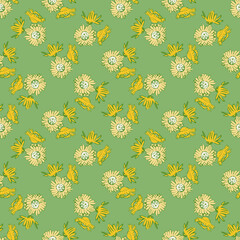 Chrysanthemum flowers drawing, bloom in yellow colors, floral seamless pattern, nature abstract background vector. Line art botanical illustration graphic design print, fabric. Trendy green wallpaper