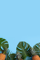 Fototapeta premium Top view of fresh pineapple with tropical leaves on blue background.