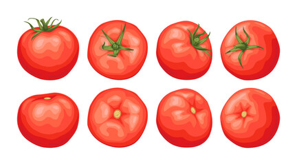 Set of red tomatoes. Fresh juicy tomatoes with a green sprig, top view, side view.