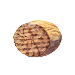 The half of nutmeg isolated on white background.  Watercolor hand drawn illustration.