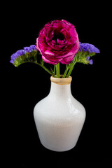 pink ranunculus flowers in  a vase