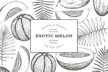 Melons with tropical leaves design template. Hand drawn vector exotic fruit illustration. Retro style fruit banner.