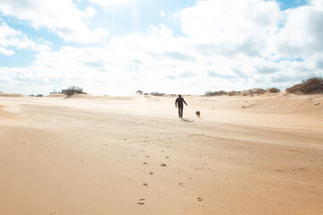 Figure of a man with a dog on a sandy beach