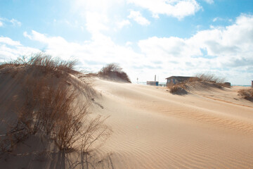 Sun, sand dunes on the coast