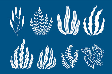 Fototapeta na wymiar Set of seaweed icons. Marine plants are isolated.