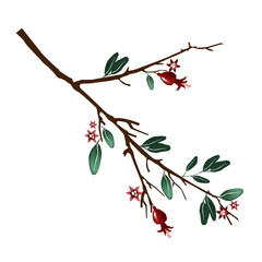 Illustration of a pomegranate branch with fruits, leaves. It can be used for printing on souvenirs, textiles, brands, tableware, and decorative elements.